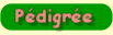 Pdigre 