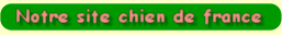 Notre site sur chien de france